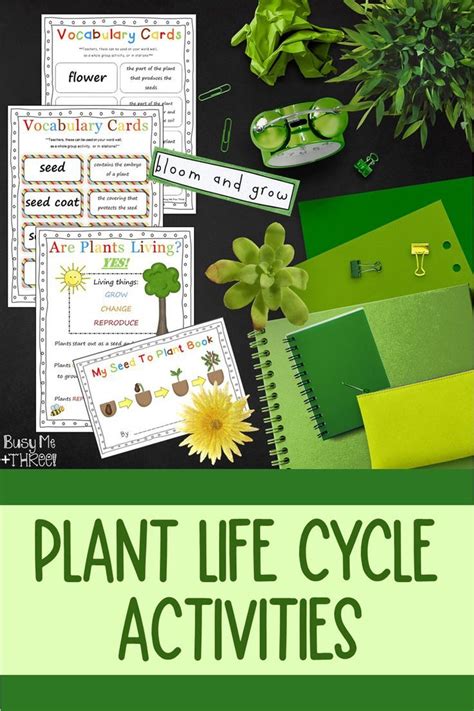 Plant Life Cycle Worksheets Observation Journal Crafty And Posters Plant Life Cycle Plant