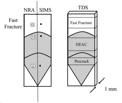 Schematic Illustration Of How Sims Nra And Tds Measurements Were