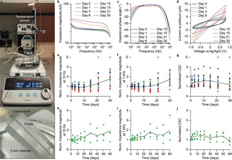 Transient Neurovascular Interface For Minimally Invasive Neural