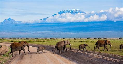 Excursión de un día al Parque Amboseli GetYourGuide