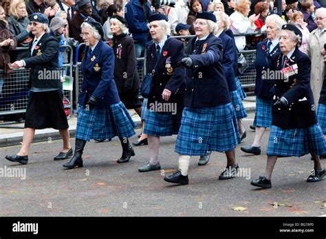 Remembrance Day Parade in London Stock Photo - Alamy