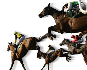 Horse Racing live broadcasts: South Africa Horse Racing