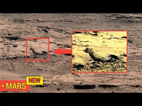 NASA S Perseverance Rover Send 360super Incredible Footage Of Mars