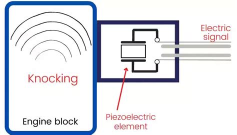 Wiring Diagram For Knock Sensor Wiring Work