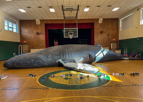 Whalemobile Makes A Splash The Huge Inflatable Whale That May Be