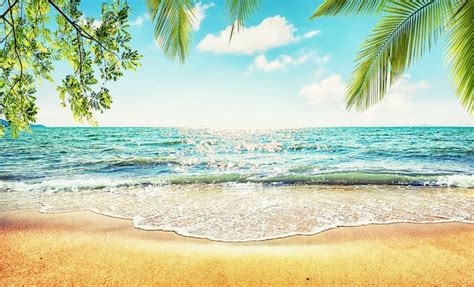 Sunny Beach Wallpaper - Beautiful Shoreline Landscape | Happywall