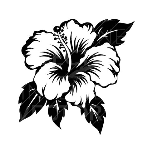 Hibiscus Flower Vector Svg Hawaiian Flower Vector Tropical Flower