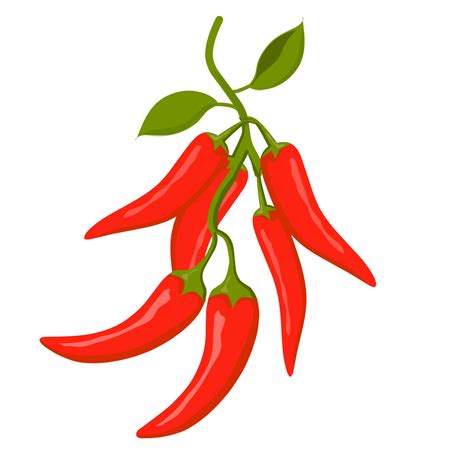 Red Chilli Pepper 22962243 Png