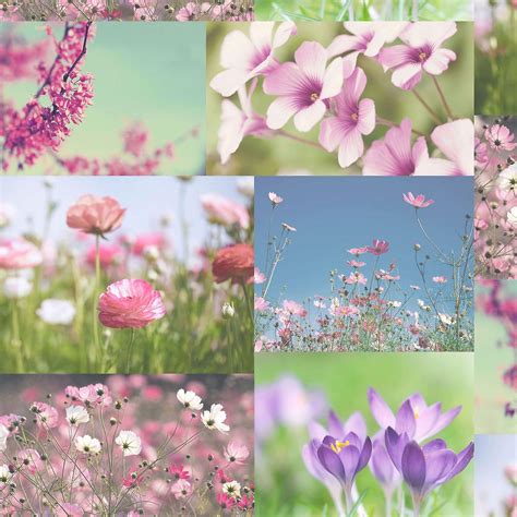 Spring Flower Collage Wallpapers Wallpaper Cave