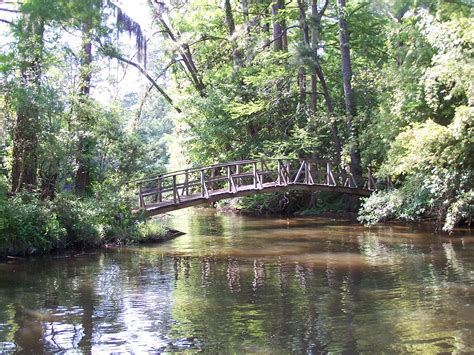 Abita River, taken from our boat, near Covington, LA | Lake