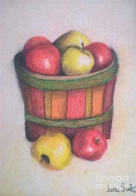 Apple Basket Drawing by Jena Suits