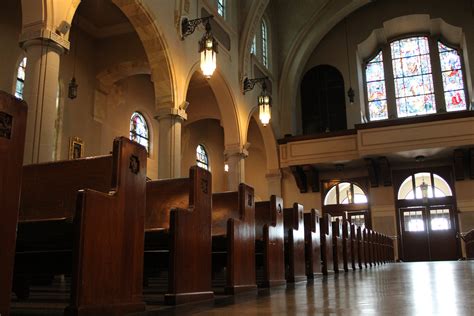 share  story  flower basilica