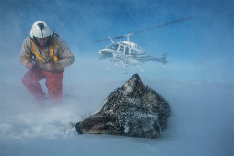 See 150 years of Yellowstone in these iconic Nat Geo images