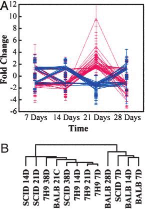 Identification Of Immune Responsive Genes By Using DNA Microarrays A