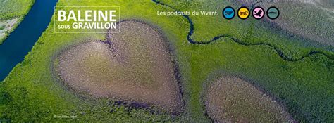 Bassines La Guerre De Leau A Commencé Baleine Sous Gravillon