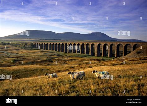 Ribblehead Viaduct Yorkshire Dales National Park England Uk England