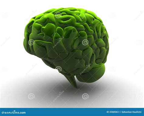 Cerebro verde 3d stock de ilustración Ilustración de humano 4368563