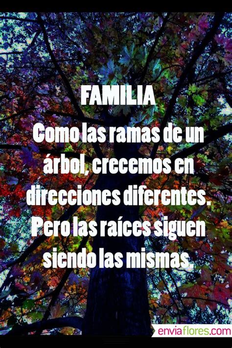 Frases Para Reflexionar Con Imagenes Sobre La Familia Frases Hoy