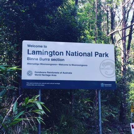 Connect adventurously #Hiking in the Lamington National Park #Australia