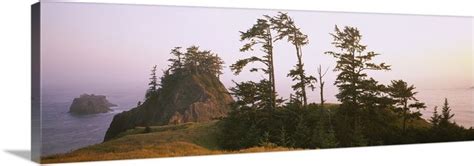 Trees On Rocks Pacific Ocean Boardman State Park Oregon Boardman