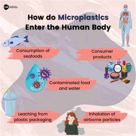 How Can Microplastic Enter Our Body Thip Media