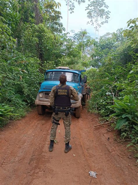 Pf Ro Deflagra Operação Para Combater Crimes Ambientais Em Reservas