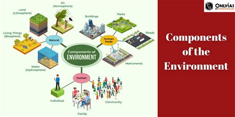 Components Of The Environment, Biotic And Abiotic Components