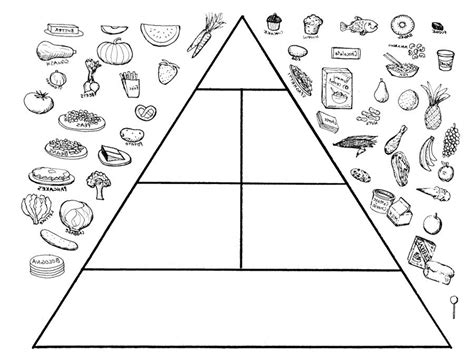 Blank Food Pyramid