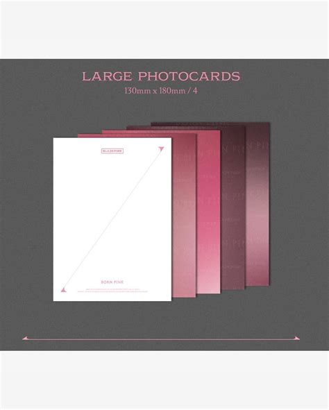 Box Blackpink Born Pink Exclusive Box Set Pink Complete Edition