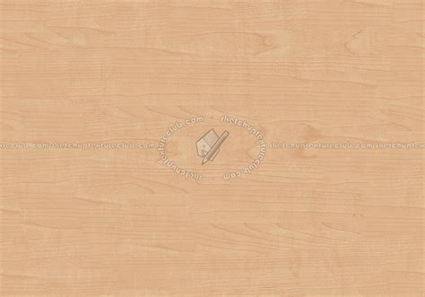 Canadian Birch Light Wood Fine Texture Seamless 04356