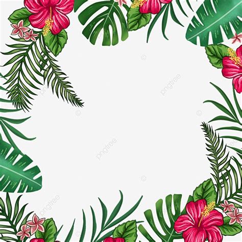 Tropical Leaves Border Hd Transparent Hand Painted Tropical Leaves