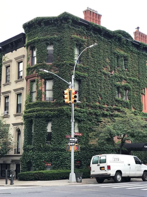 Where To Find Ivy Covered Houses In Nyc York Avenue