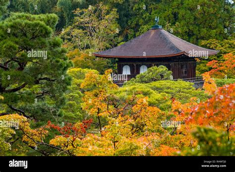 autumn leaves at Ginkakuji Temple Stock Photo - Alamy