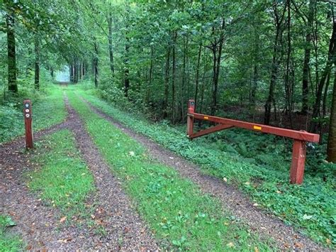 Fovslet Skov Bl Rute Udinaturen Dk