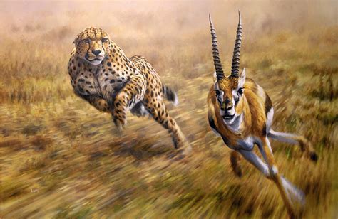 Chase is On, Cheetah Chasing Gazelle Fine Art Print, Signed Limited ...