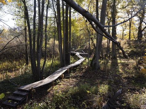 Klockelund Landezine International Landscape Award Lila