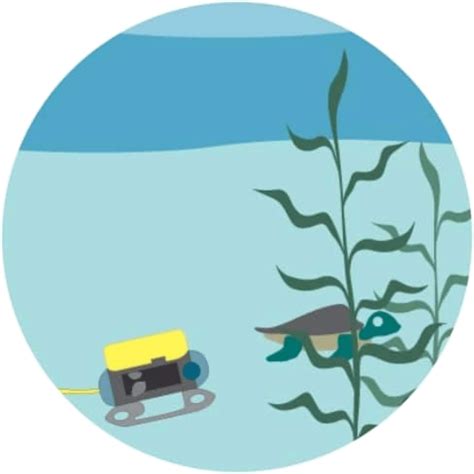 Learning Resources - COVE