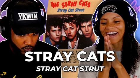 What Is This 🎵 Stray Cats Stray Cat Strut Reaction