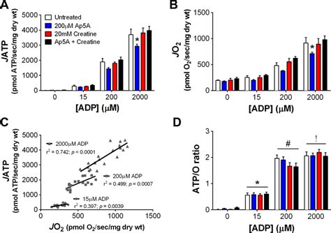 Oxidative Phosphorylation Oxphos Efficiency Increases As A Function Download Scientific