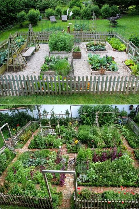 Vegetable Garden Design