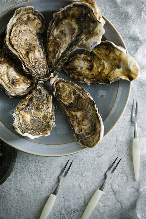 "Oysters: A Bowl Of Unopened Oysters." by Stocksy Contributor "Darren