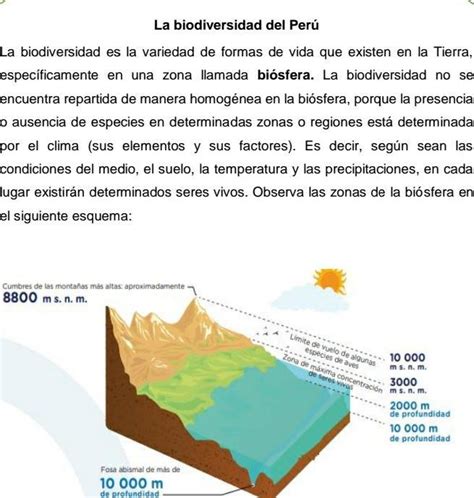 Elabora Una Explicación Sobre Lo Que Es La Biósfera B Analiza La Ilustración Y Comenta En Qué