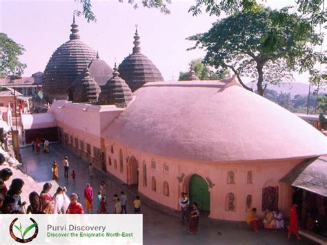 Tea Estates Of Upper Assam Tea Garden Tour Tea Bagan Purvi Discovery