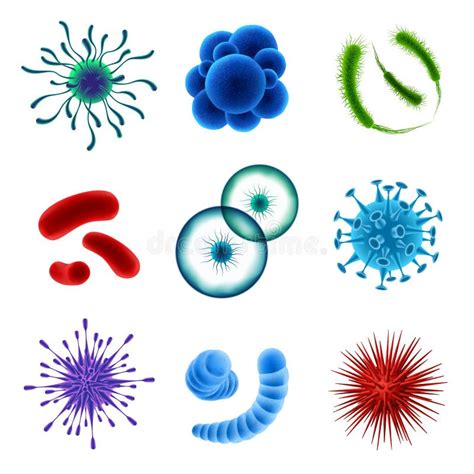 Realistic D Microscopic Viruses And Bacteria Vector Set Stock Vector