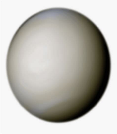 venus    shell clip art  vector de venus hd png