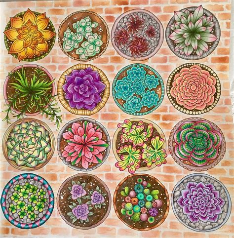 Coloring Tutorial World Of Flowers By Johana Basford Succulent 13 With Polychromos Artofit