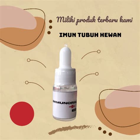 Jual Immunoral Vitamin Kucing Menyembuhkan Penyakit Dalam Kucing