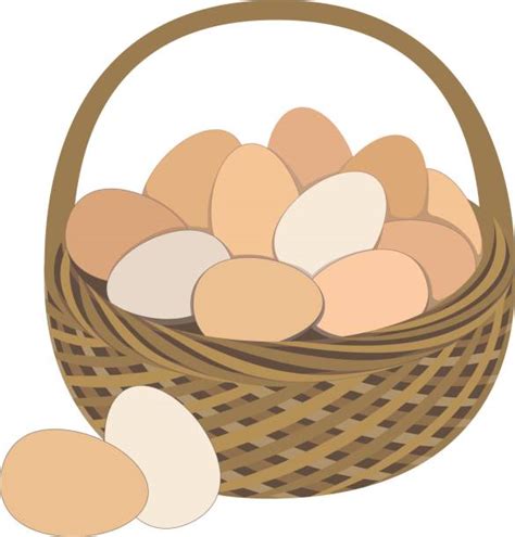 40 Raw Eggs In Basket Stock Illustrations Royalty Free Vector