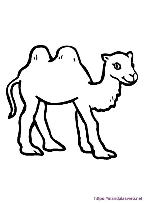 Dibujos Para Colorear De Camellos Y Dromedarios Porn Sex Picture