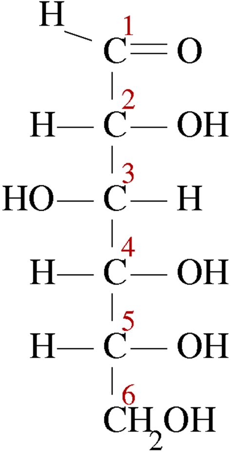 Glucide - Structure, classification et nomenclature